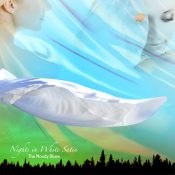 【ムーディー・ブルース】サテンの夜。武道館コンサート(1974.1)