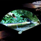 風と水音を閉じ込めた一枚 〜扇子とししおどし［和花写流１］