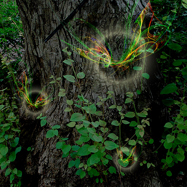 木の精霊