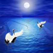 雅なる月夜に、十二単の女性の気配を感じて鶴が舞う［和花写流14］