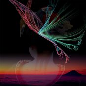 夢のかたちを髪に飾って 〜舞妓と幻想蝶の出逢い［和花写流４］