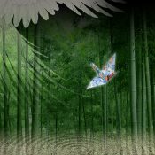 【和花写流24】夏の夜の幻想〈誘われて〉