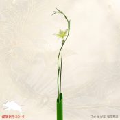 【和花写流31】謹賀新年2019